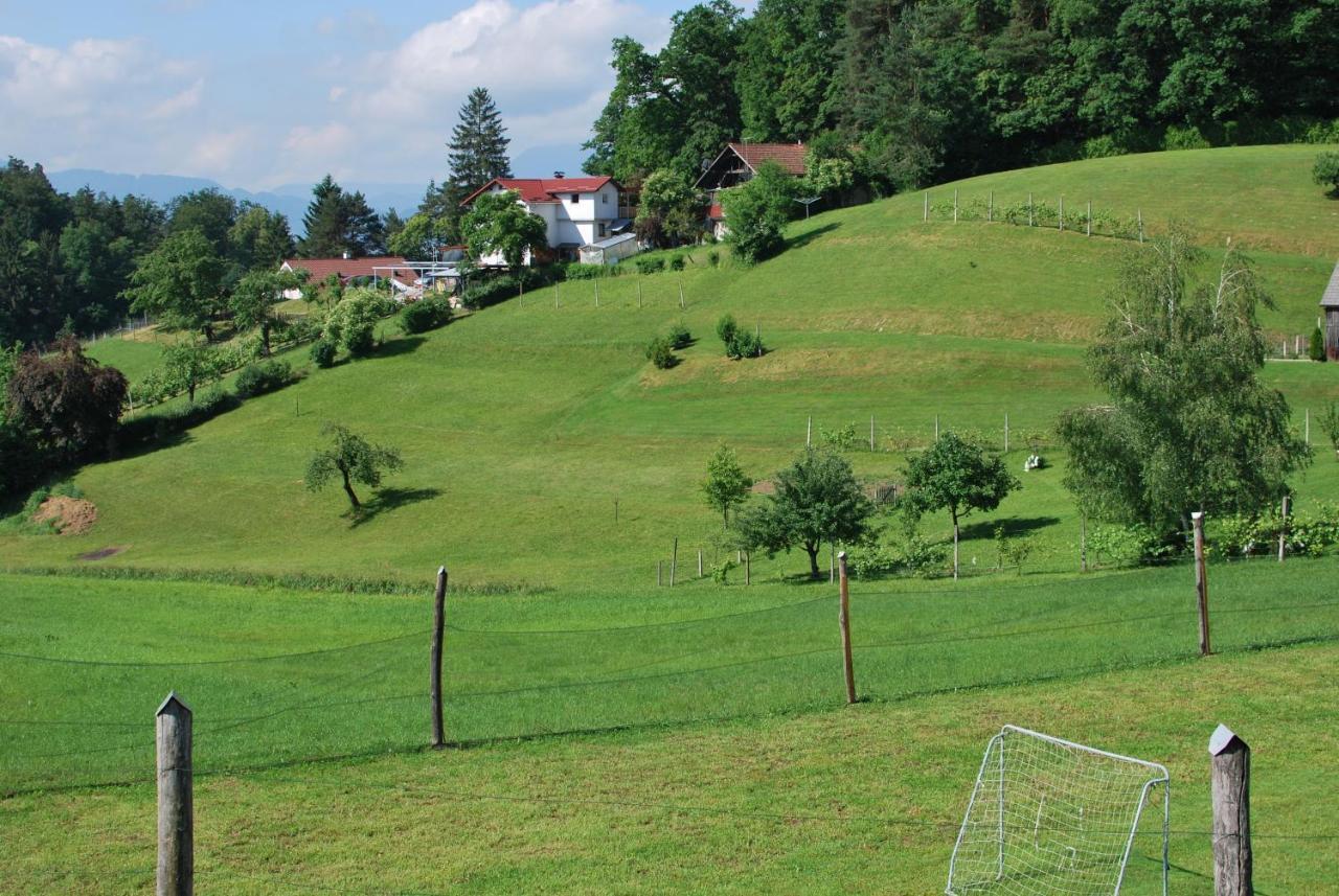 Holiday Home Dobrotin Vojnik Экстерьер фото