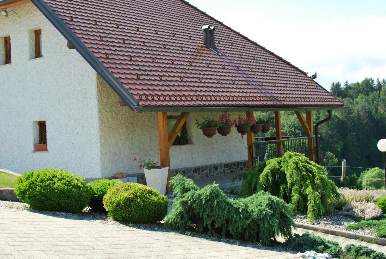 Holiday Home Dobrotin Vojnik Экстерьер фото