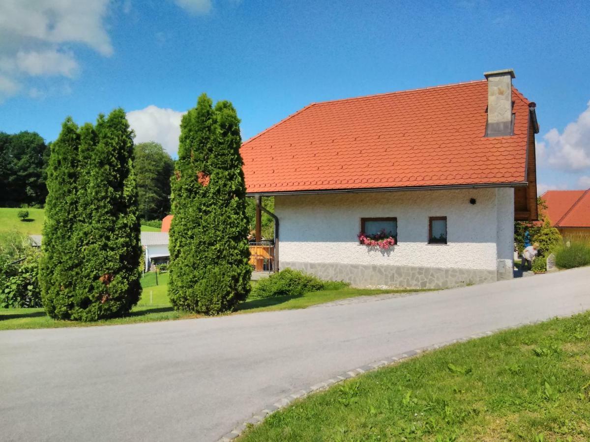 Holiday Home Dobrotin Vojnik Экстерьер фото